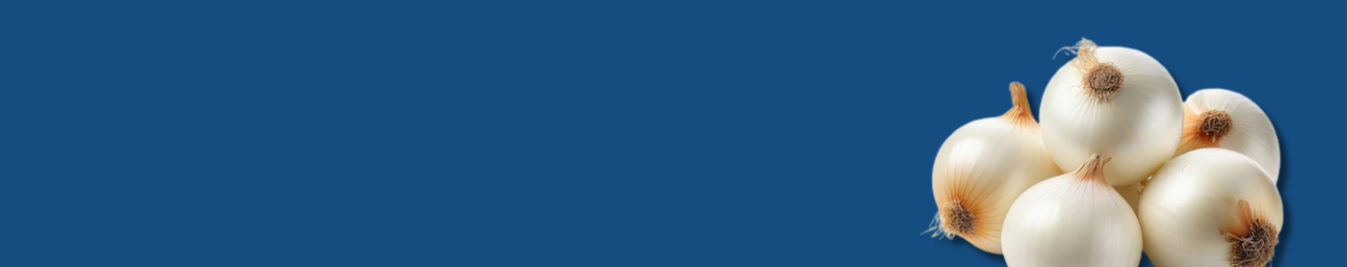 Dehydrated White Onion